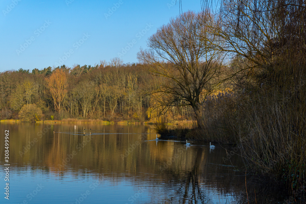 Wundervolle Herbstimmung mit blauen Himmel in der Grube Fernie in Linden / Hessen