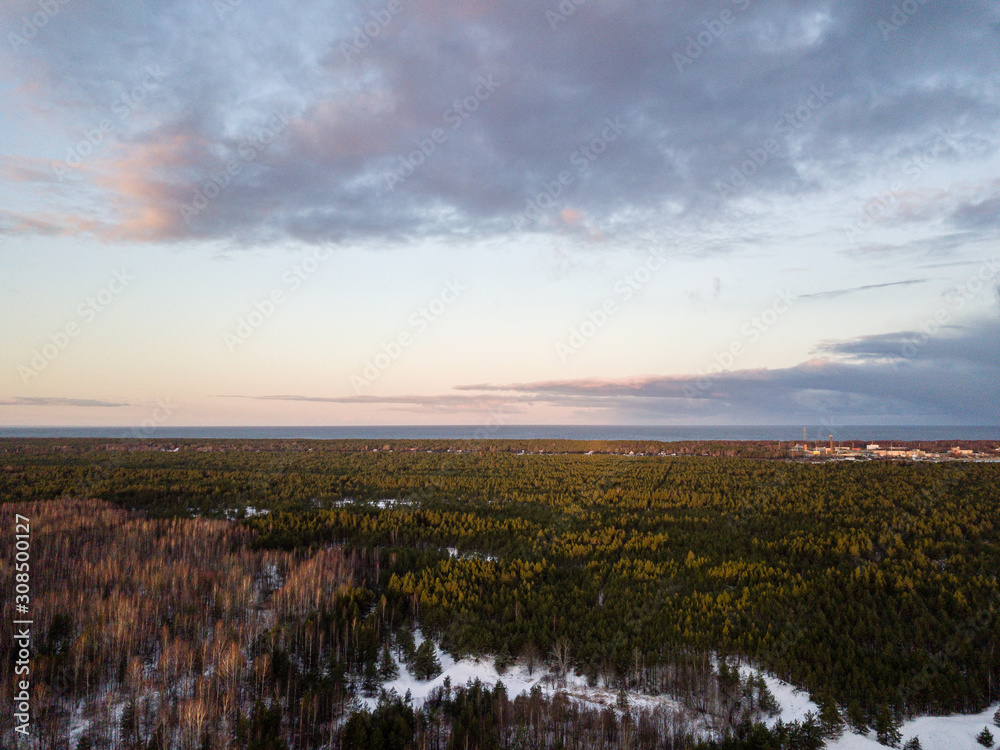 aerial view of wooden watchtower in forest