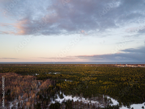 aerial view of wooden watchtower in forest © Martins Vanags