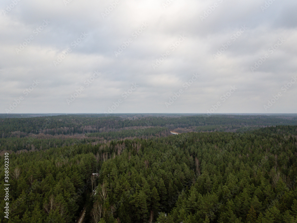 winter forest from above. Drone aerial image of winter trees