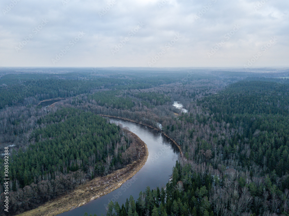 River in winter forest with green trees from above. Aerial drone image of river Gauja in Latvia