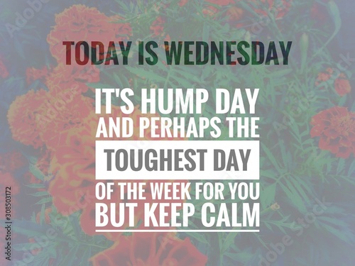 Image with wordings or quotes about wednesday, hump day