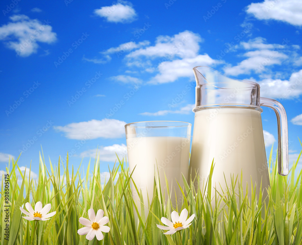 Glass of milk and jug in grass. Glass of milk and jug in grass.