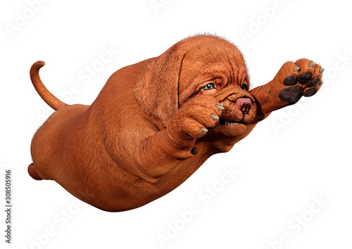 3D Rendering Puppy on White