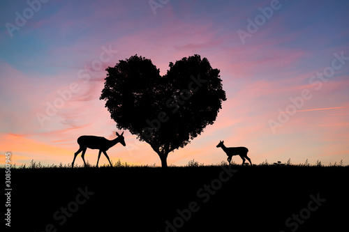 deer silhouette on a field at night