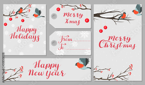 Set of Christmas and New Year cards and labels with snowy branches and bullfinches