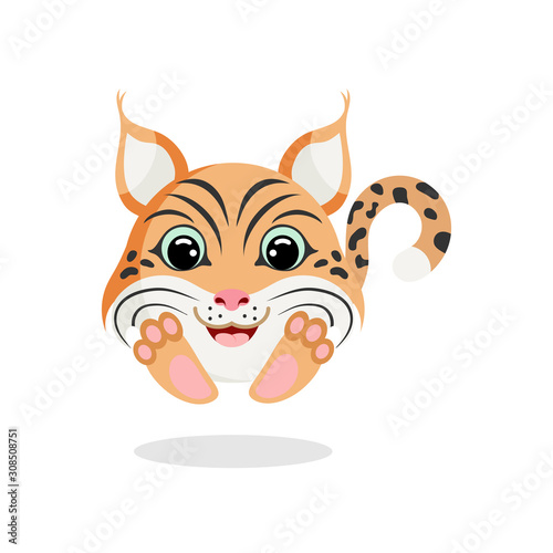 lynx vector illustration. Flat design