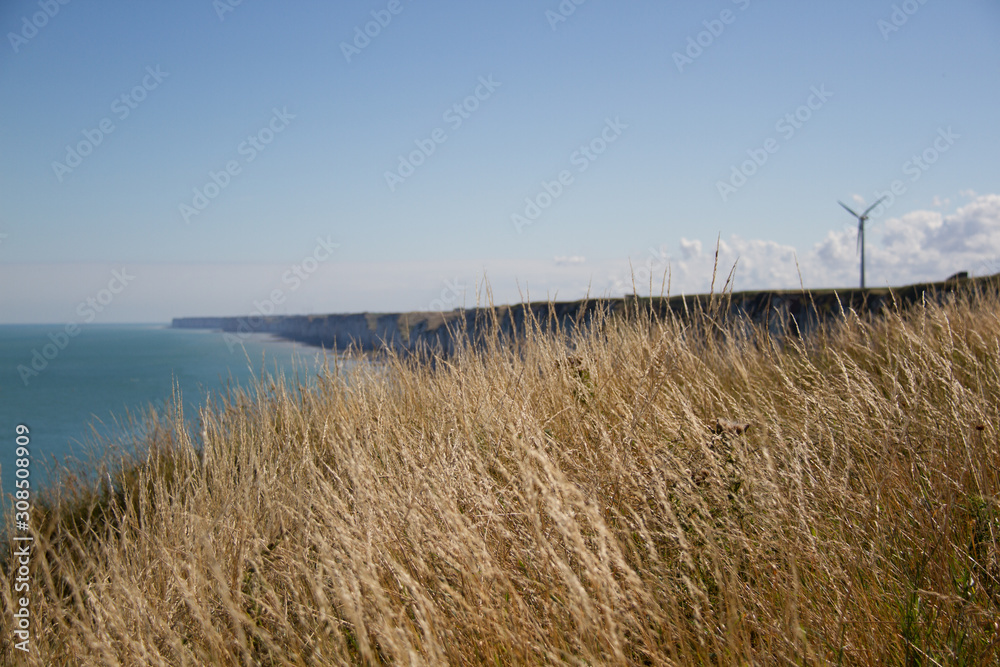 Fototapeta premium scogliera