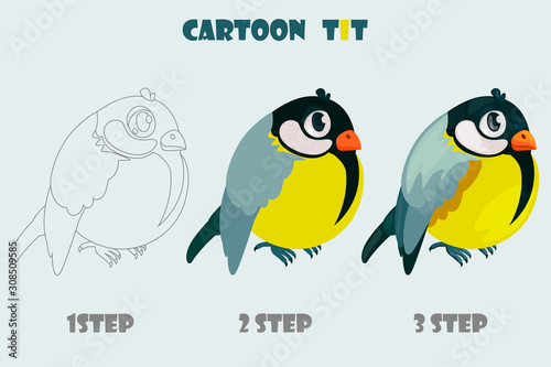 Cartoon bird Tit, isolated 3 step drawing. Vector winter bird