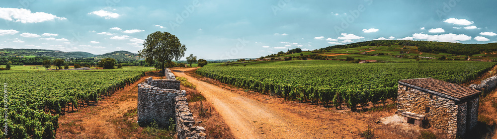 chemin vigne moulin santenay