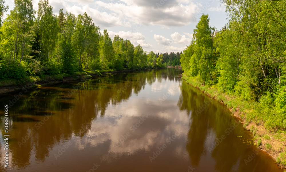 summer landscape with river, green trees on shore and clouds, beautiful glare