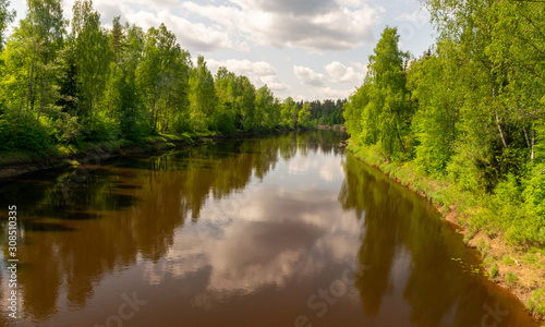 summer landscape with river  green trees on shore and clouds  beautiful glare