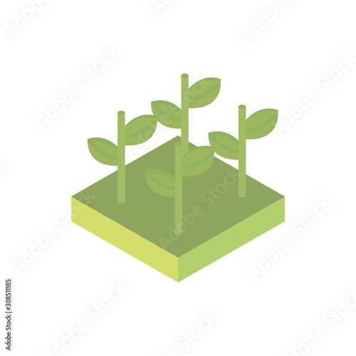 farm growth plants harvest agriculture isometric icon