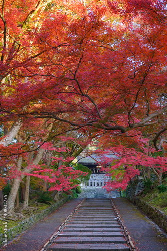 Bishmondo temple in Kyoto  Japan temple 