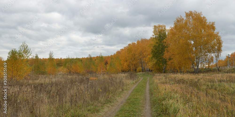 Fototapeta premium Autumn in the fields and forests. Beautiful panorama