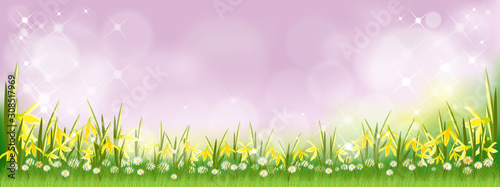 Vector summer nature background with daffodils, tiny daisy flowers and green grass fields. Spring background with abstract blurry bokeh light effect. Tamplate banner for Easter or Spring background © Anchalee