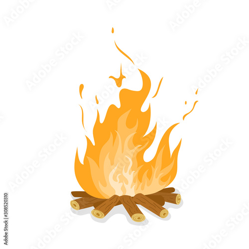Burning bonfire with wood