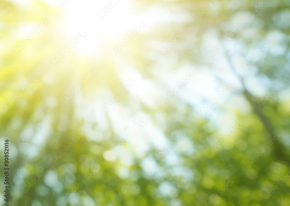 Obraz premium abstract nature background