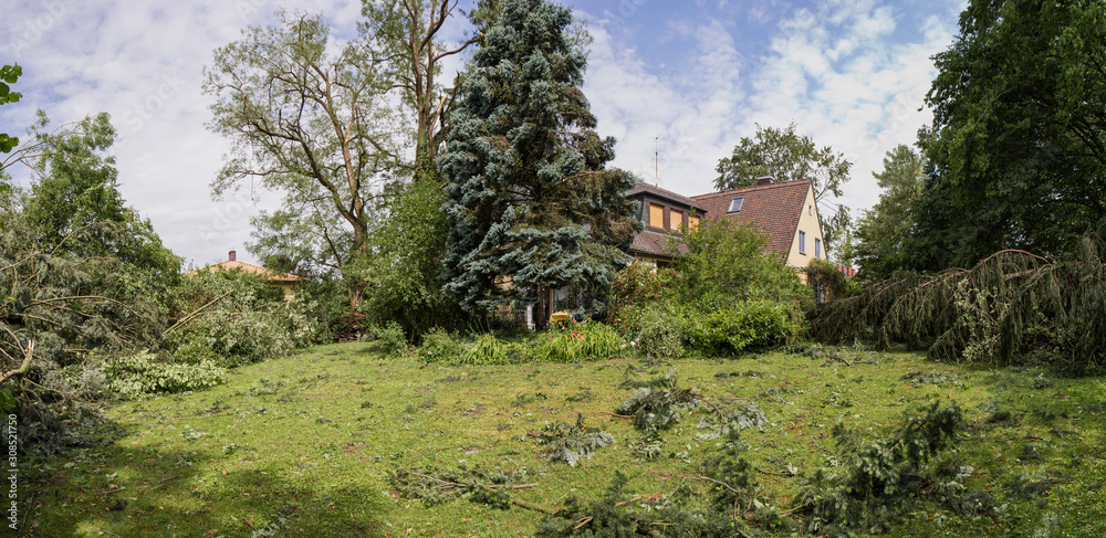 Storm damage in a garden of a family home Storm damage in a garden of a family home