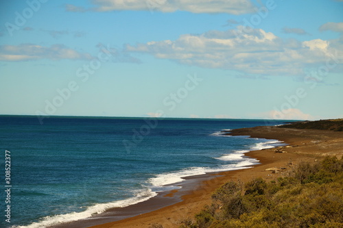 playas con animales salvajes de la patagonia