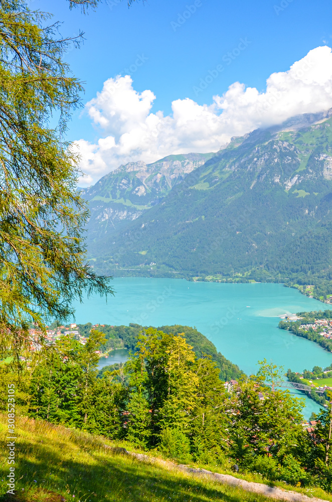 Turquoise Lake Brienz in Interlaken, Switzerland photographed from the hiking path to Harder Kulm. Amazing Swiss landscape. Green hills and Alpine lake in the valley. Summer Alpine landscapes