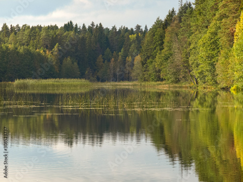 summer landscape with river  green trees on shore and clouds  beautiful glare