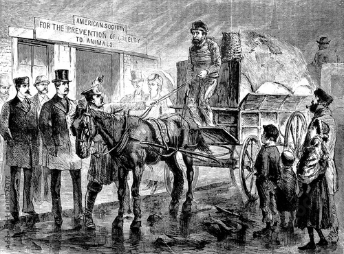 Arrested for cruelty, a vintage drawing of man on horse drawn wagon on cobblestone street, police and onlookers 1872