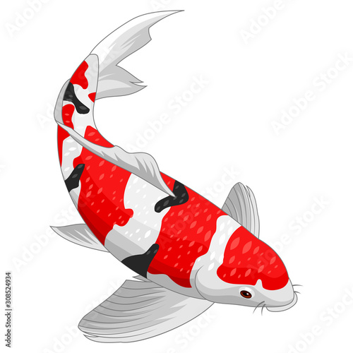 Red and gold koi fish design elements