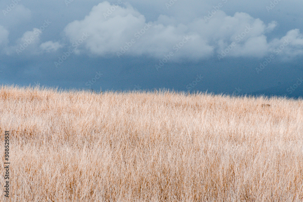 Obraz premium Cap de la Houssaye