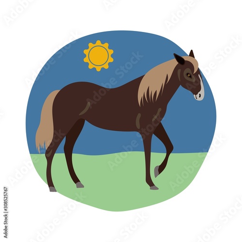 Horse on white background vector