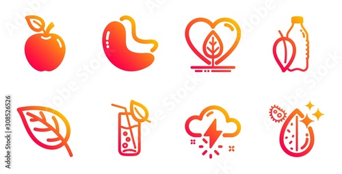 Water glass, Thunderstorm weather and Cashew nut line icons set. Leaf, Local grown and Water bottle signs. Apple symbol. Soda drink, Thunder bolt. Nature set. Gradient water glass icons set. Vector