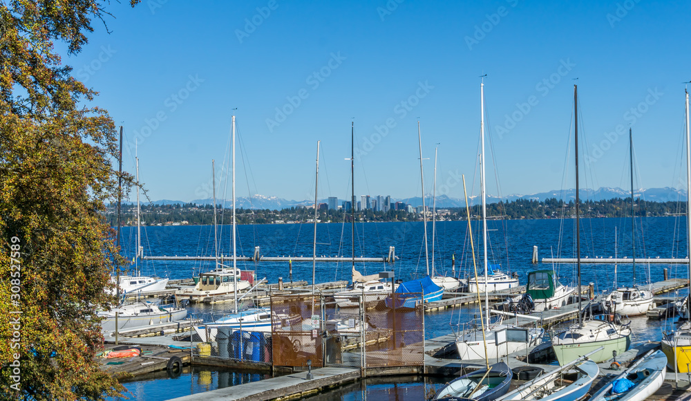 Boats And Bellevue Skyline