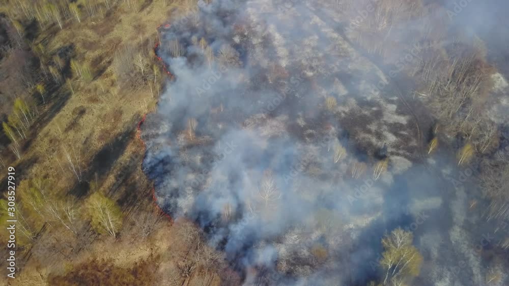 Aerial drone flight over burning field near forest with thick white smoke Aerial drone flight over burning field near forest with thick white smoke