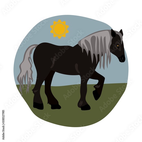 Horse on white background vector