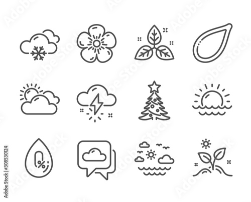 Set of Nature icons, such as Fair trade, Sunset, Weather forecast, No alcohol, Natural linen, Sunny weather, Pumpkin seed, Grow plant, Christmas tree, Travel sea line icons. Leaf, Cloudy. Vector