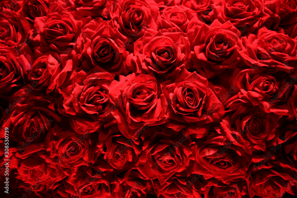 Luxurious bouquet of red roses. Close-up photo of fresh flowers. Floral background composition on the subject of St. Valentine’s day, wedding, holiday or festive event. Luxurious bouquet of red roses. Close-up photo of fresh flowers. Floral background composition on the subject of St. Valentine’s day, wedding, holiday or festive event.