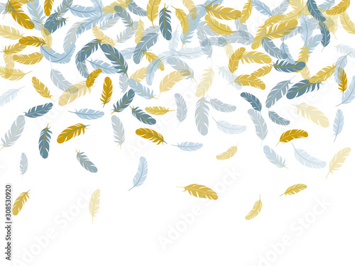 Flying feather elements airy vector design.