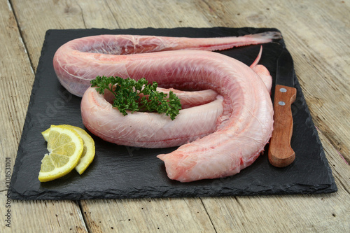 raw dogfish on a slate photo