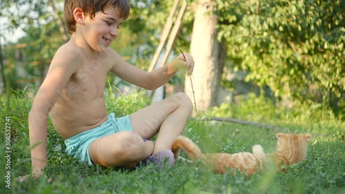 boy plays with Orange Scottish Fold kitten with a branch, on grass in garden