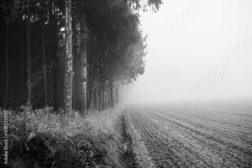 road in the fog