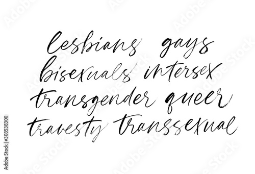 Lgbtq words: lesbians, gays, bisexuals, intersex, transgender, queer, travesty, transsexual. Vector brush modern calligraphy.