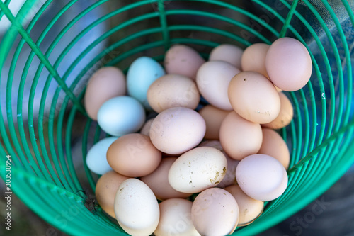 Organic free range chicken eggs in the busket photo