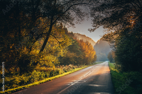 Road in beautiful autumn nature. Calm evening scenery.