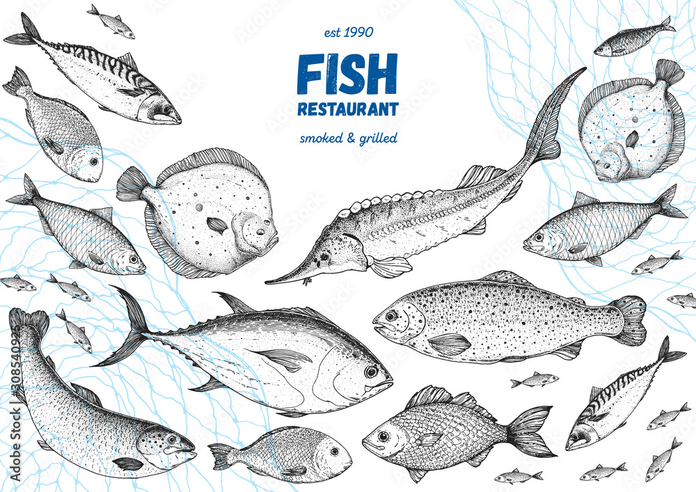 Fish sketch collection. Hand drawn vector illustration. Seafood frame vector illustration. Food menu illustration. Hand drawn salmon, mackerel, sturgeon, flounder, tuna. Engraved style. Engraved fish - obrazy, fototapety, plakaty 