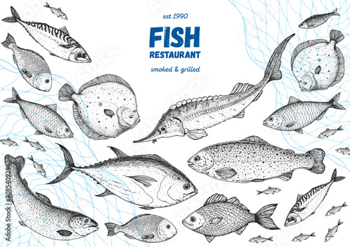 Fish sketch collection. Hand drawn vector illustration. Seafood frame vector illustration. Food menu illustration. Hand drawn salmon, mackerel, sturgeon, flounder, tuna. Engraved style. Engraved fish