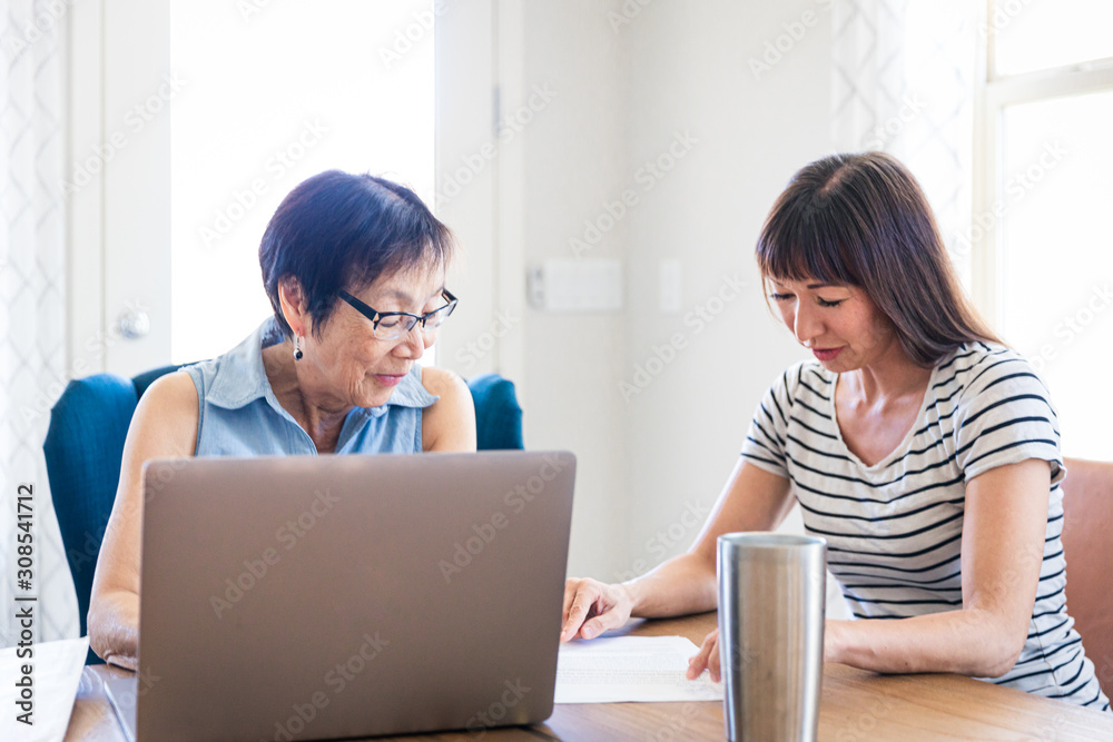 Mother and Daughter Working Together at Home Mother and Daughter Working Together at Home