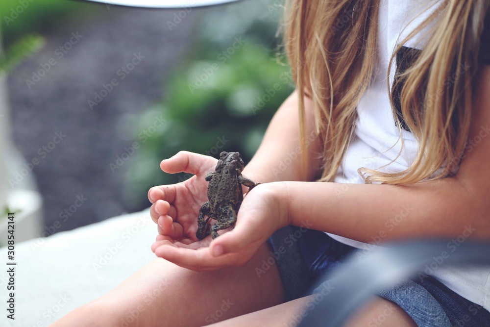 Midsection of girl holding frog while sitting in backyard Midsection of girl holding frog while sitting in backyard