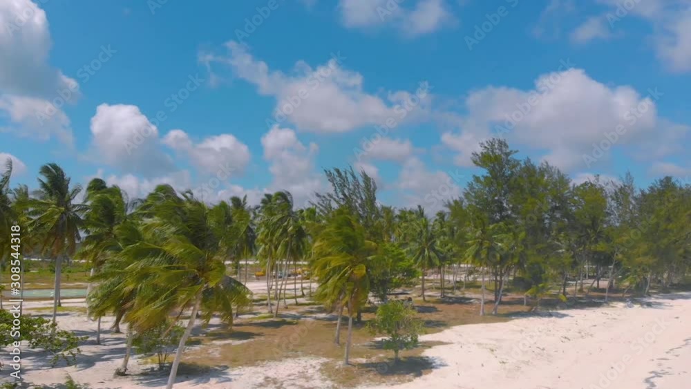 White sand beach and tropical island surrounded by palm trees at Punta Sebaring, Bugsuk Island in Balabac, Philippines White sand beach and tropical island surrounded by palm trees at Punta Sebaring, Bugsuk Island in Balabac, Philippines