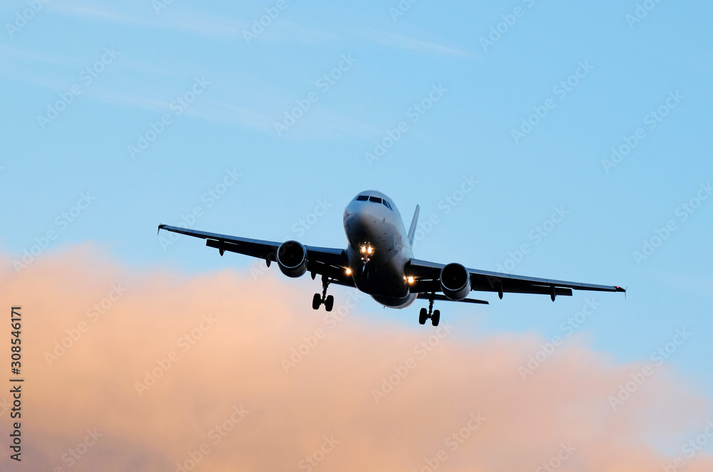 The plane arrives at the international airport The plane arrives at the international airport
