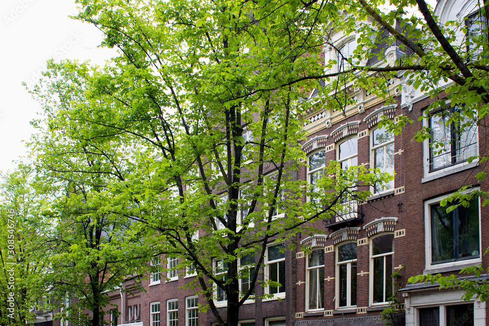 custom made wallpaper toronto digitalView of historical, traditional and typical buildings reflecting Dutch architectural style and trees in Amsterdam. It is a sunny summer day.